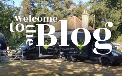 Welcome to the Dream Team blog!